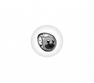 立绘-136.png