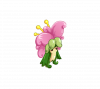 布布花